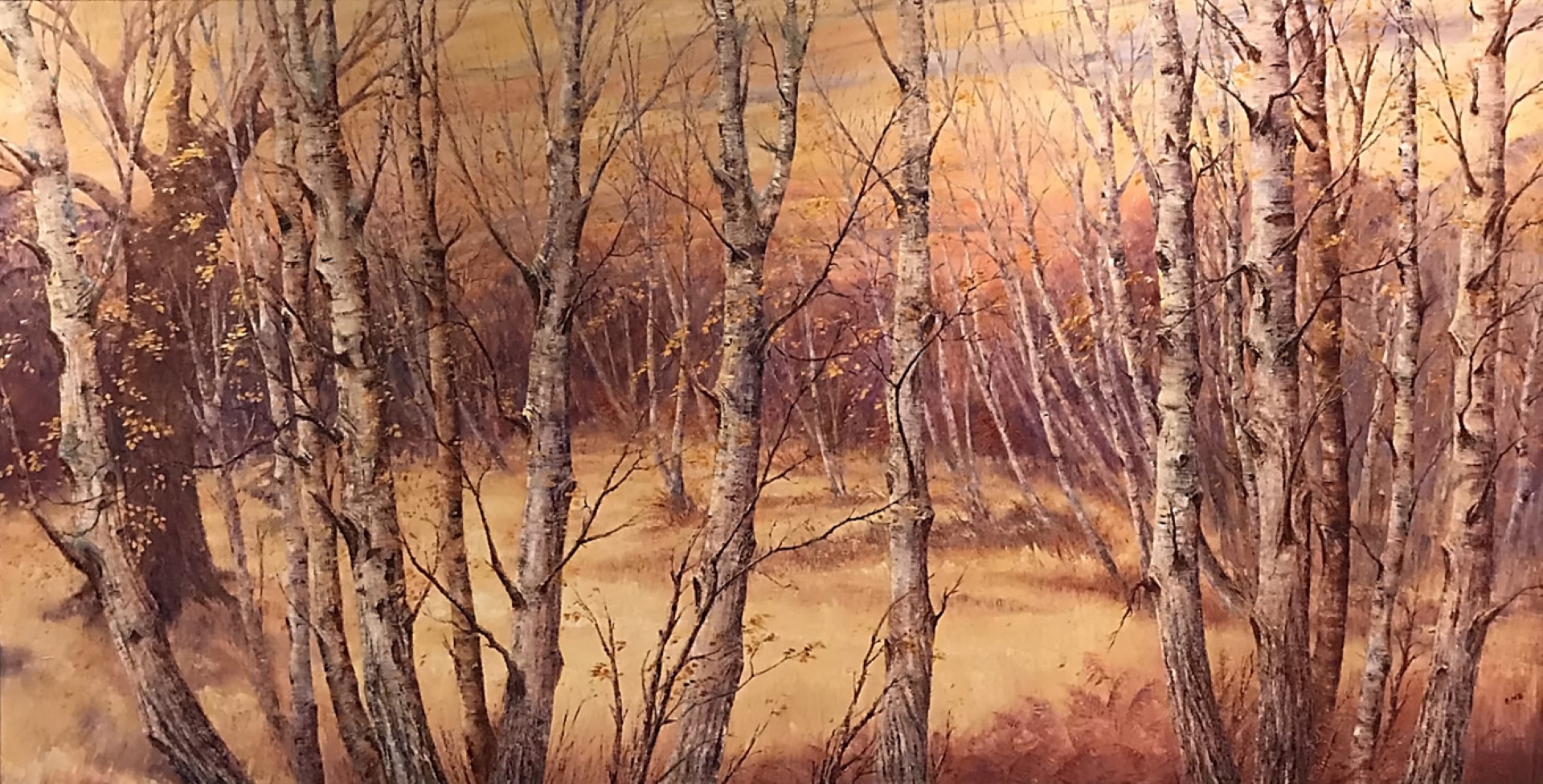 Silver Birches, Highlands (Scotland) – Oil on canvas – 5 ft 6 inches x 2 ft 10 inches